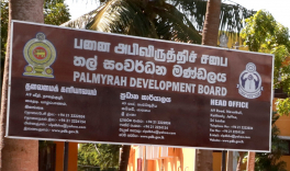 A number of programs by the Palmyrah Development Board to uplift more than 12,000 people engaged in the Palmyrah industry in North
