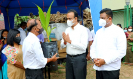 Celebration event organized to mark the 50th anniversary of the Coconut Cultivation Board